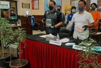 Polisi, mengamankan seorang pria berinisial OK di Lebak Bulus, Cilandak, Jakarta Selatan lantaran menanam enam pot pohon ganja di dalam kamar mandi. (Pelopor.id/Ist)