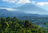 Pemandangan Gunung Rinjani yang indah bisa dinikmati dari Desa Tetebatu. (Foto:Pelopor.id/bppd lotim)