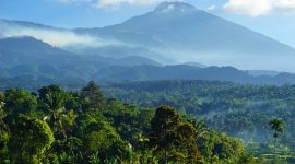Pemandangan Gunung Rinjani yang indah bisa dinikmati dari Desa Tetebatu. (Foto:Pelopor.id/bppd lotim)