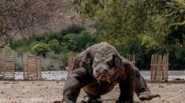 Komodo. (Foto:Pelopor.id/Kemenparekraf)