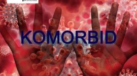 Ilustrasi komorbid atau penyakit bawaan yang memperparah penyakit Covid-19 mereka. (Foto: pelopor.id//Pixabay/Geralt)