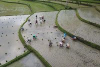 Desa Tete Batu Lombok Timur. (Foto: Pelopor.id/bppd Lotim)