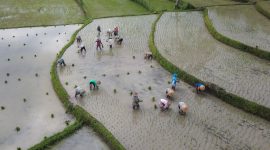 Desa Tete Batu Lombok Timur. (Foto: Pelopor.id/bppd Lotim)