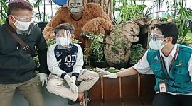 Bocah Vino (10) yang menjadi yatim piatu lantaran kedua orang tuanya meninggal terpapar Covid-19. (Foto: Pelopor.id/Kemensos)