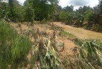 Dua Desa di Poliwali Mandar Dilanda Banjir.(Foto:Pelopor.id/BNPB)