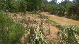 Dua Desa di Poliwali Mandar Dilanda Banjir.(Foto:Pelopor.id/BNPB)