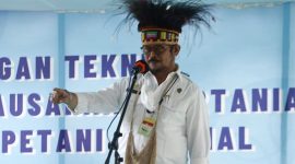 Menteri Pertanian (Mentan) Syahrul Yasin Limpo. (Foto:Pelopor.id/Kementan)