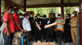 Menteri Pertanian Syahrul Yasin Limpo dorong hutan sagu Papua Barat menjadi lahan agrowisata. (Foto: Pelopor/Kementan)