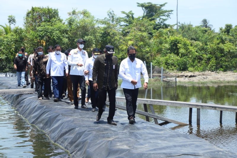 Menteri Kelautan dan Perikanan Sakti Wahyu Trenggono meninjau langsung klaster tambak udang vaname berkelanjutan di Desa Matang Rayeuk, Aceh Timur. (Foto: Pelopor/Kementerian Kelautan dan Perikanan)