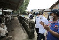 Menteri Desa, Pembangunan Daerah Tertinggal dan Transmigrasi Abdul Halim Iskandar meninjau peternakan di Lampung Selatan. (Foto: Pelopor/Kemendes PDTT)