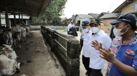 Menteri Desa, Pembangunan Daerah Tertinggal dan Transmigrasi Abdul Halim Iskandar meninjau peternakan di Lampung Selatan. (Foto: Pelopor/Kemendes PDTT)