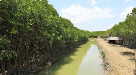 Tinjau Brebes, Kemenko Marves Terima Laporan Kendala Pengembangan Kawasan Pesisir. (Pelopor.id/Kemenko Marves)