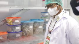 Menteri Pertanian Syahrul Yasin Limpo tinjau pengolahan sarang burung walet di Kalimantan Barat. (Foto: Pelopor/Kementan)