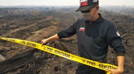 Ilustrasi Kebakaran Lahan.(Foto:Pelopor.id/KLHK)