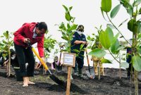 Presiden Jokowi Tanam Mangrove di Pantai Raja Kecik. (Foto:Pelopor.id/KLHK)