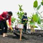 Presiden Jokowi Tanam Mangrove di Pantai Raja Kecik. (Foto:Pelopor.id/KLHK)