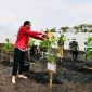 Presiden Jokowi Tanam Mangrove di Pantai Raja Kecik. (Foto:Pelopor.id/KLHK)
