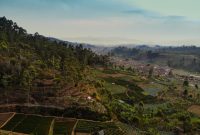 Sawah Terasiring di Lembang, Bandung, Jawa Barat. (Foto: Pelopor/Unsplash)