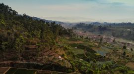 Sawah Terasiring di Lembang, Bandung, Jawa Barat. (Foto: Pelopor/Unsplash)