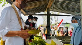 Jokowi Beli Jagung Rebus di Pinggir Jalan Papua. (Foto:Pelopor.id/Setpres)