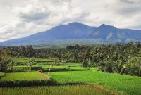 Desa Wisata Tetebatu yang terletak di Sikur, Lombok Timur, Nusa Tenggara Barat. (Foto:Pelopor.id/Ist)