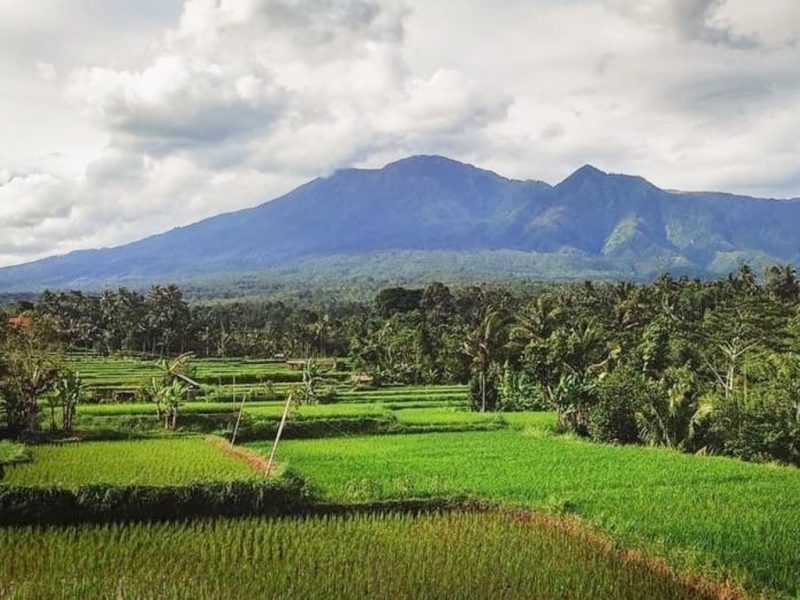 Desa Wisata Tetebatu yang terletak di Sikur, Lombok Timur, Nusa Tenggara Barat. (Foto:Pelopor.id/Ist)