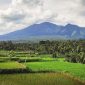 Desa Wisata Tetebatu yang terletak di Sikur, Lombok Timur, Nusa Tenggara Barat. (Foto:Pelopor.id/Ist)