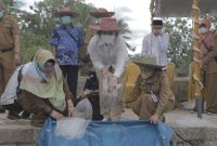 Jaga Keberlanjutan Ikan Endemik, KKP Kembangkan Pembenihan Ikan Gabus di Kalimantan Selatan. (Foto: Pelopor/KKP)