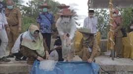 Jaga Keberlanjutan Ikan Endemik, KKP Kembangkan Pembenihan Ikan Gabus di Kalimantan Selatan. (Foto: Pelopor/KKP)