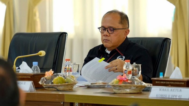 Wakil Ketua Komisi II DPR RI dari Fraksi PDI-Perjuangan Junimart Girsang. (Foto: Pelopor/Instagram @junimart_girsang)