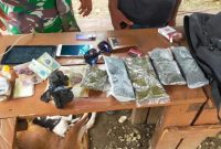 Satgas Yonif 131 Gagalkan Penyeludupan 5 Paket Ganja dari Papua Nugini. (Foto: Pelopor/tniad.mil.id)