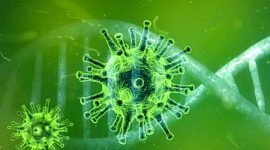 Ilustrasi virus corona covid-19. (FOto:Pelopor.id/Pixabay/TheDigitalArtist)
