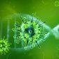 Ilustrasi virus corona covid-19. (FOto:Pelopor.id/Pixabay/TheDigitalArtist)
