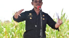 Menteri Pertanian Syahrul Yasin Limpo. (Foto:Pelopor.id/Kementan)