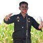 Menteri Pertanian Syahrul Yasin Limpo. (Foto:Pelopor.id/Kementan)