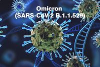 Ilustrasi Omicron (SARS-CoV-2 B.1.1.529. 
 (Foto:Pelopor.id/Ist)