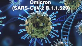 Ilustrasi Omicron (SARS-CoV-2 B.1.1.529. 
 (Foto:Pelopor.id/Ist)