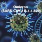 Ilustrasi Omicron (SARS-CoV-2 B.1.1.529. 
 (Foto:Pelopor.id/Ist)