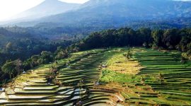 Keindahan Alam Desa Wisata Tetebatu. (Foto:Pelopor.id/Ist)