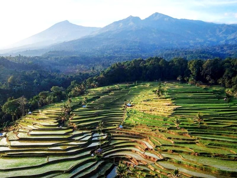 Keindahan Alam Desa Wisata Tetebatu. (Foto:Pelopor.id/Ist)