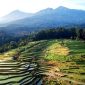 Keindahan Alam Desa Wisata Tetebatu. (Foto:Pelopor.id/Ist)