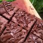 Chewy Brownies Nutella. (Foto: Pelopor/Cookpad)