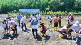 Pemerintah Luncurkan Program CSR Mangrove.(Foto:Pelopor.id/Kemenko Marves)