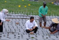 Presiden Tanam Bawang Merah dan Resmikan Embung di Temanggung. (Foto:Pelopor.id/Tyo)