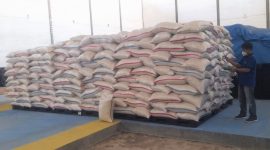 Manfaat Resi Gudang Untuk Ketahanan Pangan dan Upaya Mengoptimalkannya. (Foto:Pelopor.id/KBI)