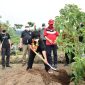 Menteri LHK dan Green Leaders Tanam Pohon Serentak di 34 Propinsi. (Foto:pelopor.id/KLHK)