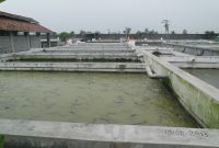 Kolam milik Republik Lele Kediri. (foto:Pelopor/KKP)