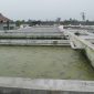 Kolam milik Republik Lele Kediri. (foto:Pelopor/KKP)
