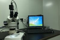 Ilustrasi mikroskop. (Foto: Pelopor.id/Pixabay) 