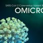 Ilustrasi Omicron